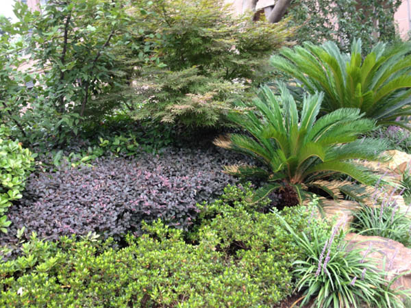 威尼斯8040的愿景与理念