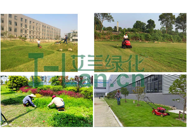 都会园林绿化的要点有哪些？？？